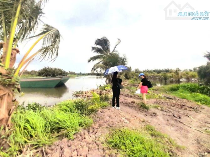 Quá rẻ, 700m2 đất trồng câu lâu năm 12 x 41m View Sông chỉ 700tr - 8