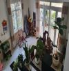 ✨🏡✨ BÁN NHÀ PHỐ HẺM Ô TÔ LỚN – LÊ VĂN TÁM, P10, ĐÀ LẠT ✨