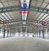 Cho thuê kho xưởng chứa hàng hoặc sản xuất diện tích đa dạng tại KCN Tân Kim , Long An