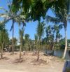Bán lô đất cầu bè vĩnh thạnh View Sông Cầu Bè. Giá 6 tỷ 500