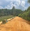 316m đất Vân Du Thạch Thành giá 290tr