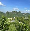 Cần bán hơn 21 ha đất rừng tại Liên Sơn, Lương Sơn, Hoà Bình