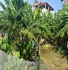 Cơ hội cực tốt cho nhà đầu tư .233m hàng F0.Giá tốt nhất khu vực -Sơn Đoài -Tân Minh