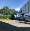Cho thuê xưởng 2000m² -- 30.000m² Khánh Bình Tân Uyên Bình Dương ,PCCC tự động ,Gtờ đầy đủ