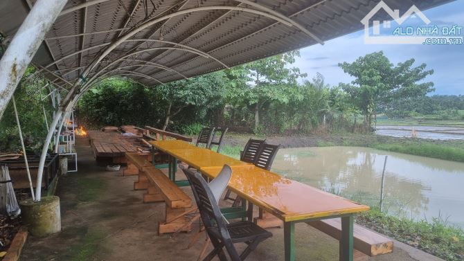 HÒA THẮNG - Bán đất siêu VIP có mặt tiền + view ruộng 12ty/3240m2 - 6
