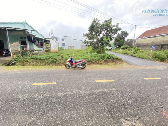 Bán đất góc 2 mặt tiền Nguyễn Hữu Chỉnh phường 2 Bảo Lộc.💯Đẹp nhất khu vực - 2