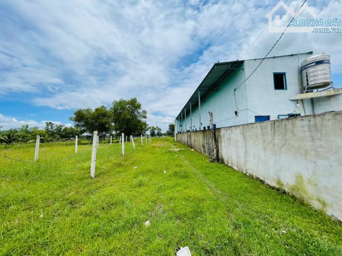 Ket Tiền bán nhanh 150m2 Đất Thổ Cư Sổ Hồng Riêng xã Mỹ Hạnh Nam - Giáp TP HCM - 1