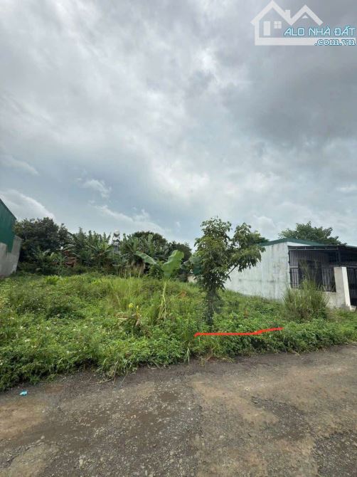 Đất rẻ nhất khối 4 khánh xuân Mt đường nhựa