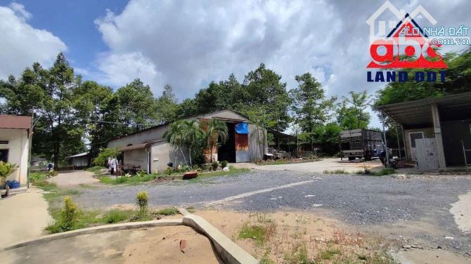 Cho thuê trang trại 3ha thích hợp chuyển đổi làm kho chứa hàng, Bình Minh, Trảng Bom