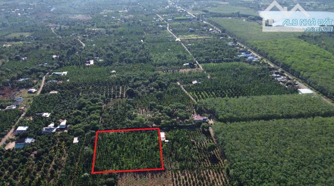 Bán siêu phẩm mảnh vườn đẹp mê, vị trí đẹp, hình đất đẹp, giá ngộp