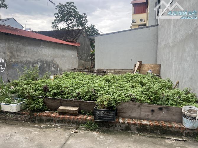 🐦‍🔥 ĐẤT HIẾM KCN QUANG MINH - 2 MẶT TIỀN - Ô TÔ ĐỖ CỬA , CHỈ NHỈNH 2 TỶ 🐦‍🔥
