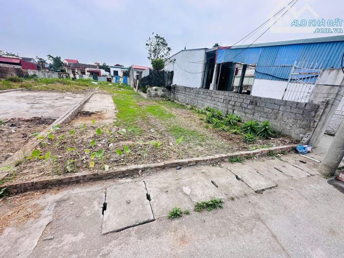 216m2 Ngũ Đoan, Kiến Hưng, Kiến Thụy