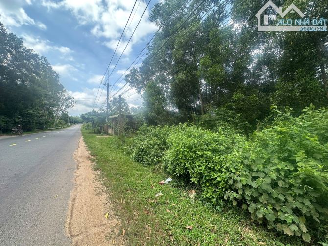 🏡 BÁN ĐẤT 15m MẶT TIỀN PHAN CHU TRINH (DT 762) – TRUNG TÂM TRỊ AN ( THỊ TRẤN VĨNH AN CŨ)