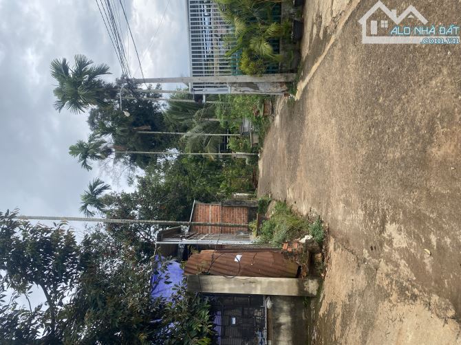 Bán nhanh đất Tân Lập 5,2×33m giá tốt