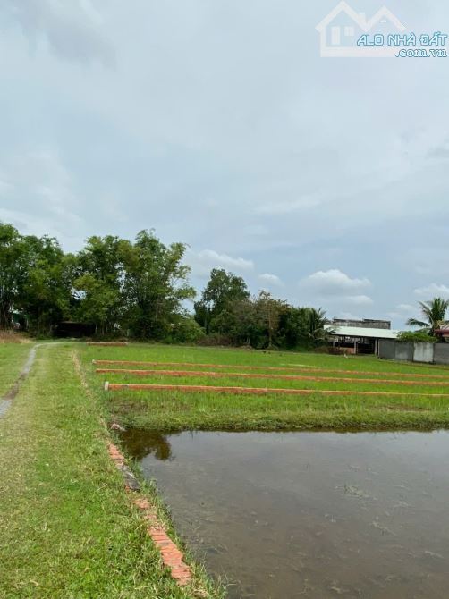 CHÍNH CHỦ BÁN LÔ ĐẤT 1000M2 GIÁ SIÊU TỐT TẠI BÀU SEN, ĐỨC HÒA, LONG AN