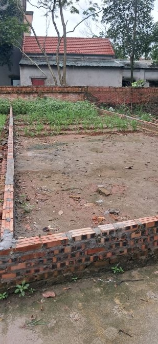 BÁN 62M2 ĐẤT Á LỮ - THUẬN THÀNH - BẮC NINH,ĐƯỜNG 3M Ô TÔ THÔNG,GIÁ CHỈ HƠN 1 TỶ