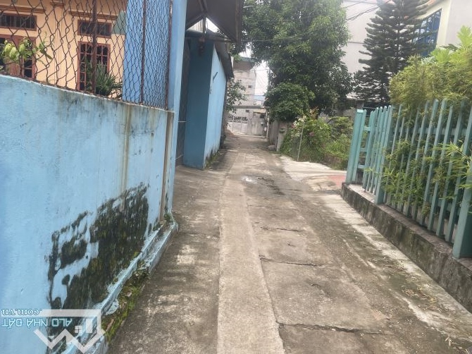 🏡 Lô góc 2 mặt thoáng – Phúc Thịnh, Nam Hồng, Đông Anh
