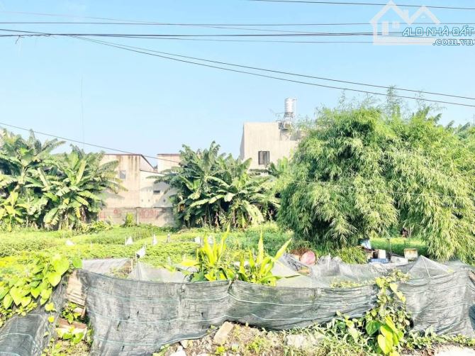 LÔ ĐẤT ĐẸP 109M2 NGAY CHỢ ĐOÀN THỊ KIA CHỈ NHỈNH 3 ĐỒNG