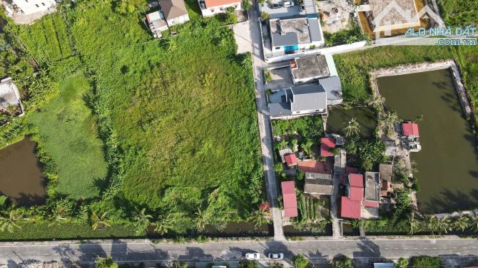 🌊 BÁN BẠT ĐẤT VÀNG 2.142M² – MẶT TIỀN 60M – TRUNG NGHĨA, ĐỒ SƠN – GIÁ CHỈ 16TR/M² 💰 - 1