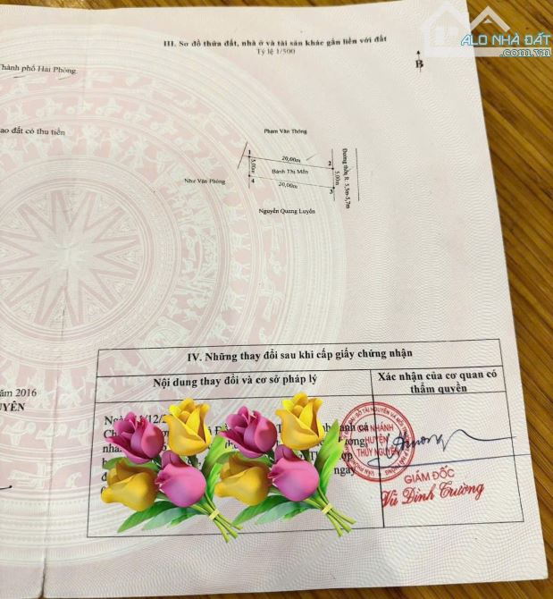 🏡Chính chủ gửi bán lô đất đẹp tại TDP Đường Đá( Hoa Động) – Phường Thủy Nguyên – Hải Phòn - 1