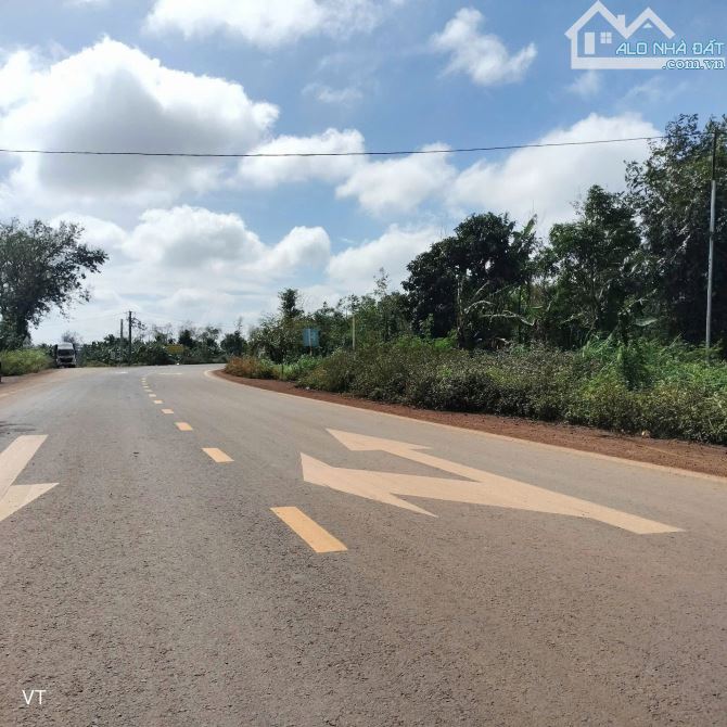 Đất sào full hồng gốc 3 mặt tiền đường Hồ Chí Minh giá siêu rẻ - 1