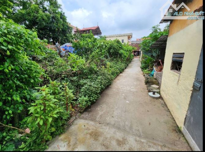 539 m2/25 Tỷ/ 15 M tiền/ Cửu Cao/ Văn Giang/ Ô tô Thông - 1