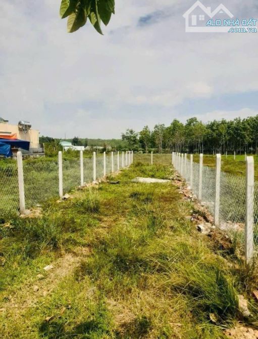 CHỦ CẦN TIỀN – BÁN LỖ GIÁ CHỈ 550 TRIỆU DT 135m2 Đất thổ cư mặt tiền đường nhựa Bà Thiên – - 1