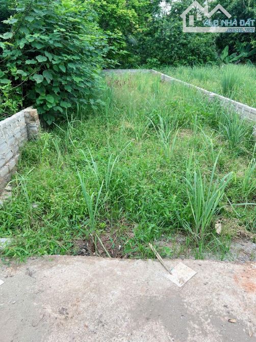 🍁ĐẤT ĐẸP – GẦN QL1A –💲giá 3x tr/m 🏛️Quất Động – Thường Tín - HN  **Diện tích 71.9m² – đ - 1