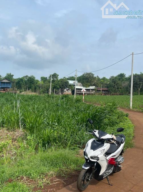 BÁN ĐẤT SUỐI RAO CHÂU ĐỨC, DT 1000M2 FULL HỒNG, KHU DÂN CU TÂP TRUNG GIÁ 1.2 TI - 1