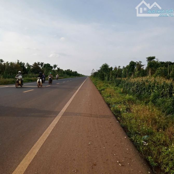 4000m2 MT đường Tránh HCM Hòa Đông