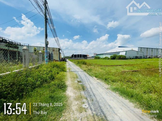 Bán đất thổ cư xã Mỹ Hạnh Bắc, SHR - Một sẹt Tỉnh Lộ 9 vào 100 mét, Đương xe tải 2,5 tấn - 1
