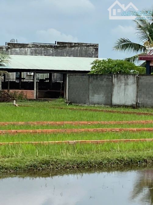 CHÍNH CHỦ BÁN LÔ ĐẤT 1000M2 GIÁ SIÊU TỐT TẠI BÀU SEN, ĐỨC HÒA, LONG AN - 1
