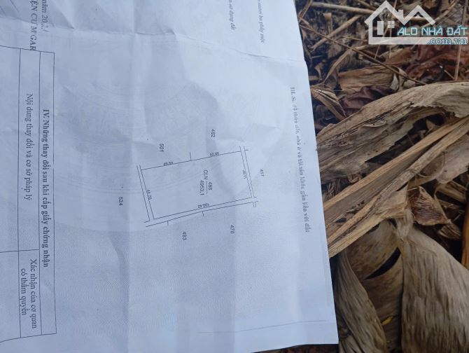 Bán 5000m2 Cuôr Đăng Gần Hồ Ea Nhái - 1