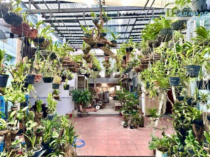 Bán biệt thự vườn mặt tiền Ấp Chánh 1, Hóc Môn – 654m2 giá chỉ 31 triệu/m2, sổ hồng riêng - 1