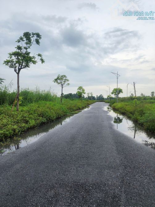 BÁN LÔ NHÌN VƯỜN HOA DỰ ÁN KHÚC XUYÊN, BẮC NINH SIÊU RẺ / DT 82,5M2 MT 5M GIÁ 3,3 TỶ - 1