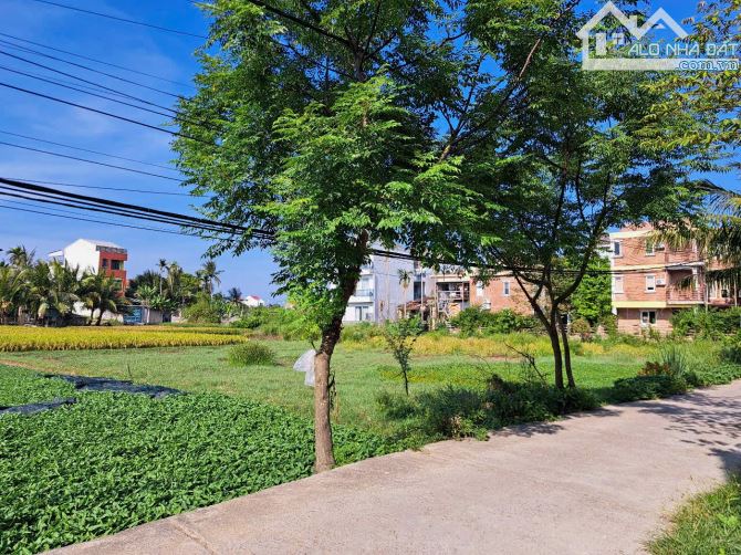 🆘 SIÊU RẺ 💥 LÔ ĐẤT VIEW LÚA TUYỆT ĐẸP CẨM CHÂU FULL ĐẤT Ở - 1