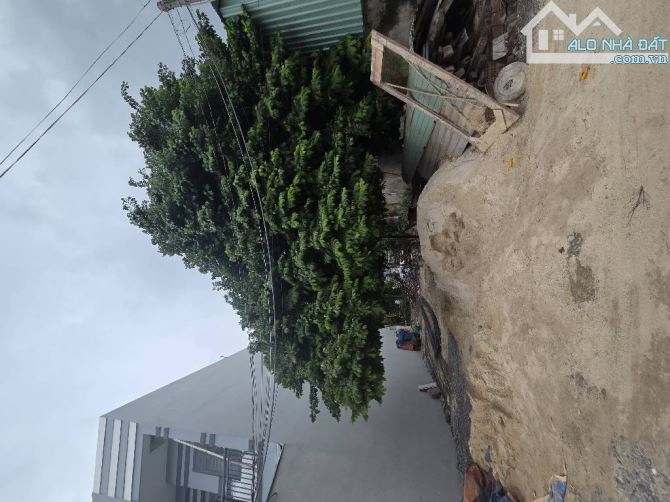 ĐẤT PULL THỔ CƯ 8X18,5 ĐÔNG THẠNH 4 ĐƯỜNG XE HƠI NGAY GẦN CHỢ - 1