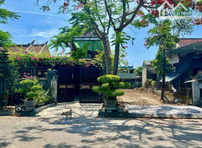 🎯🎯ĐẤT MẶT TIỀN TÂN LẬP, TRONG KQH DƯỠNG MONG GẦN NHÀ HÀNG DUYÊN ANH, TP HUẾ - 1