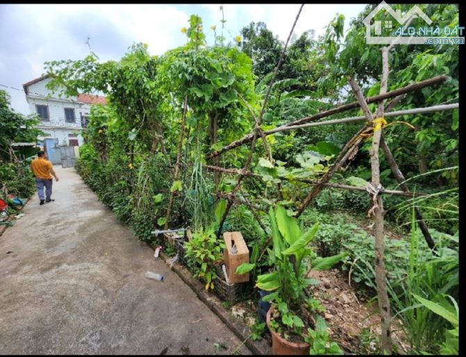 539 m2/25 Tỷ/ 15 M tiền/ Cửu Cao/ Văn Giang/ Ô tô Thông - 2