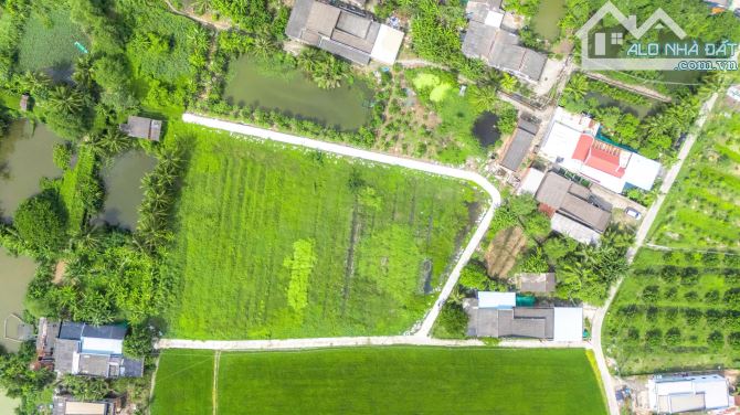 Chủ Vỡ Nợ Cần Thanh Lý Gấp Miếng Đất Ở Long An - 2