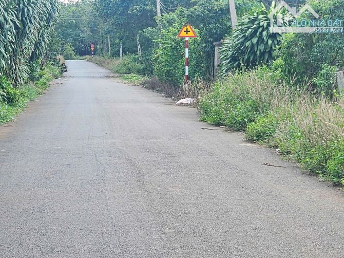 Bán siêu phẩm mảnh vườn đẹp mê, vị trí đẹp, hình đất đẹp, giá ngộp - 2