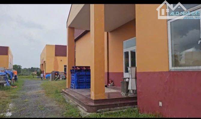 Cần bán 7000m2 đất tặng luôn xưởng ở củ chi giá 35 tỷ - 2
