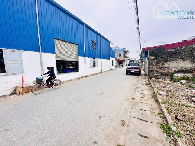 216m2 Ngũ Đoan, Kiến Hưng, Kiến Thụy - 2