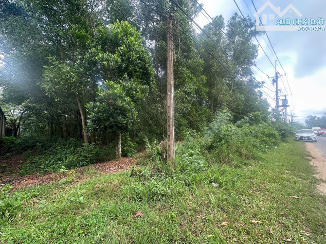 🏡 BÁN ĐẤT 15m MẶT TIỀN PHAN CHU TRINH (DT 762) – TRUNG TÂM TRỊ AN ( THỊ TRẤN VĨNH AN CŨ) - 2