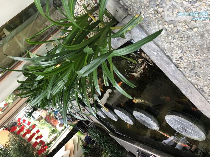 Bán nhà mặt phố Hàng Than, Thanh Hoá 60m2,4 tầng, mt 6.4m kinh doanh đỉnh - Giá chào 8.4 t - 2