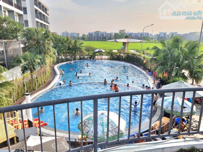 view hồ điều hào mà giá cực rẻ ở kdt tms phúc yên 75m2 - 2