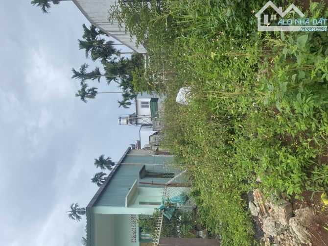 Bán nhanh đất Tân Lập 5,2×33m giá tốt - 2