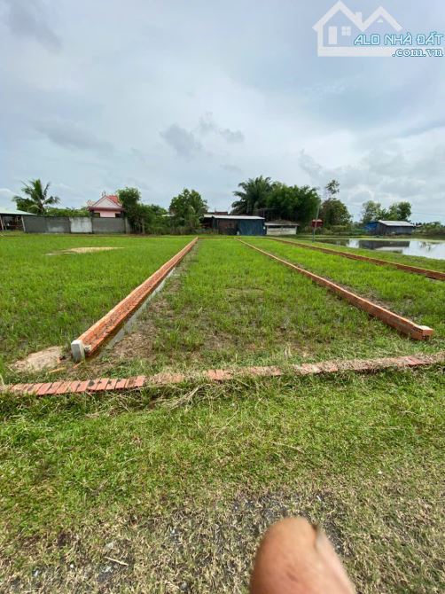 CHÍNH CHỦ BÁN LÔ ĐẤT 1000M2 GIÁ SIÊU TỐT TẠI BÀU SEN, ĐỨC HÒA, LONG AN - 2