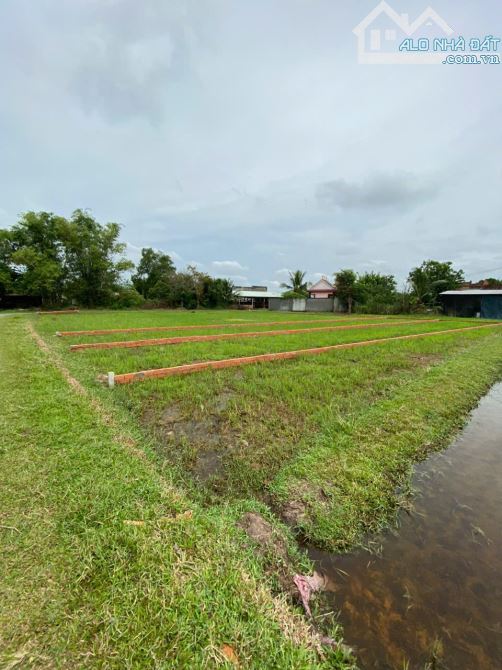 CHÍNH CHỦ BÁN LÔ ĐẤT 1000M2 GIÁ SIÊU TỐT TẠI BÀU SEN, ĐỨC HÒA, LONG AN - 2
