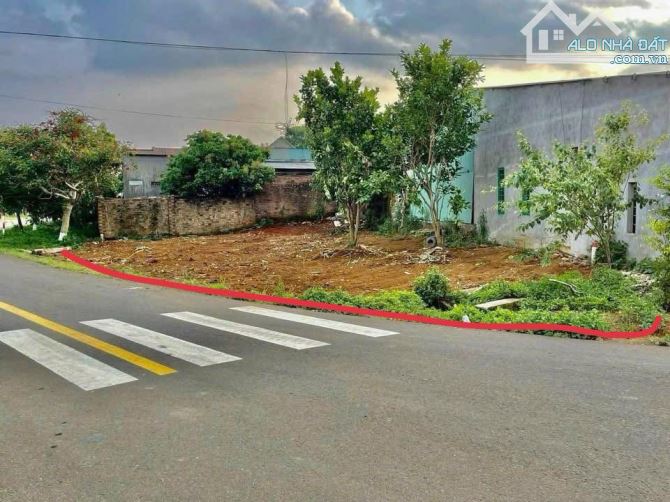 Bán 171 m2 đất đường hai bà trưng -măng đen kon tum 4,6 tỷ - 2